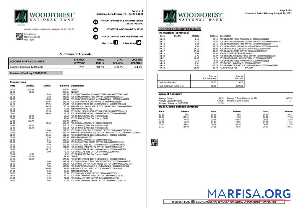 Realistic USA Woodforest bank statement word 3 pages download for verification